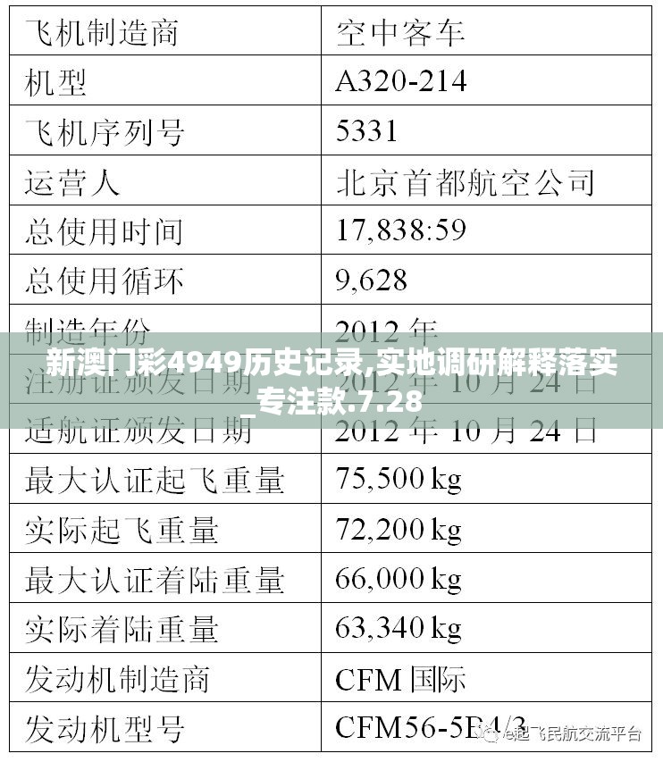 新澳门彩4949历史记录,实地调研解释落实_专注款.7.28