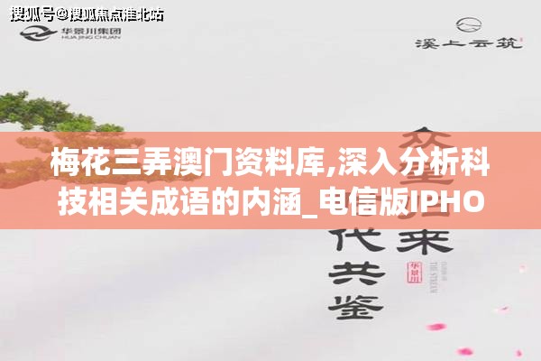 揭秘男人逆袭记：揭开七星龙珠获得之谜，助你成为终极冠军!