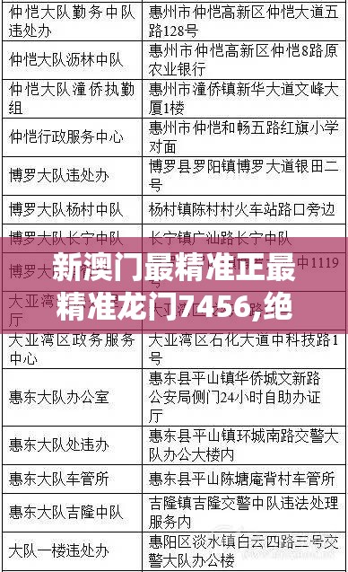 新澳门最精准正最精准龙门7456,绝对经典解释落实_终端款.3.705