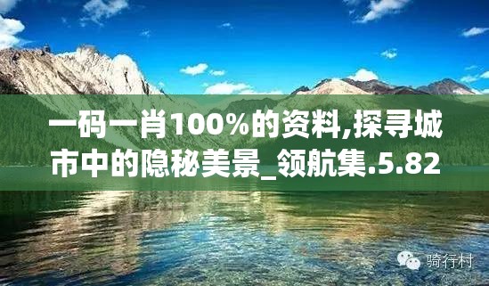 一码一肖100%的资料,探寻城市中的隐秘美景_领航集.5.826