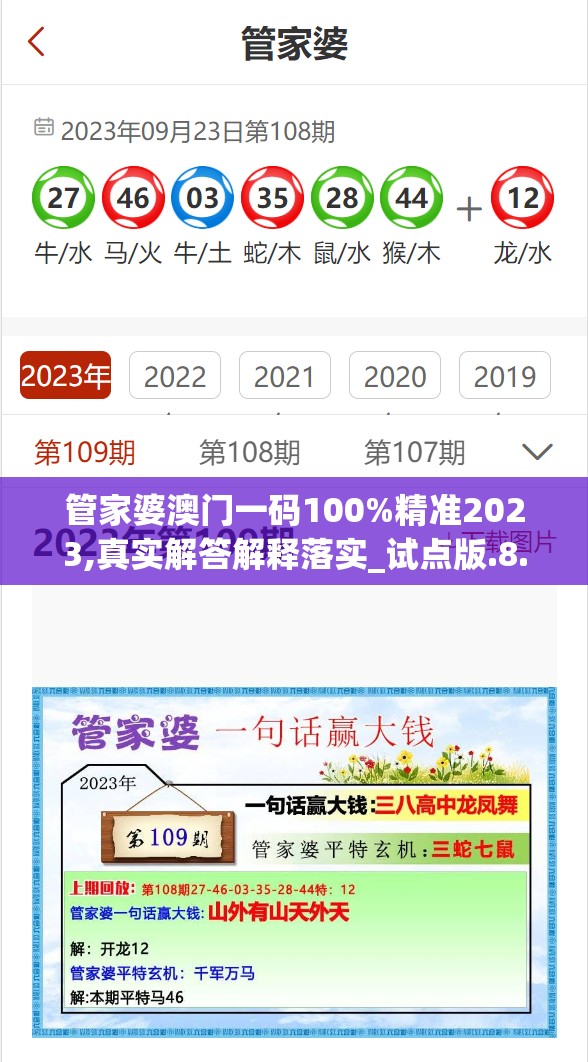 管家婆澳门一码100%精准2023,真实解答解释落实_试点版.8.382