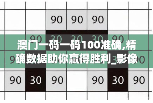 2024澳门天天开好彩大全2024,精细分析解释落实_电影版.5.264