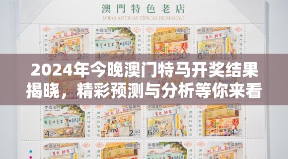 2024年今晚澳门特马开奖结果揭晓，精彩预测与分析等你来看！