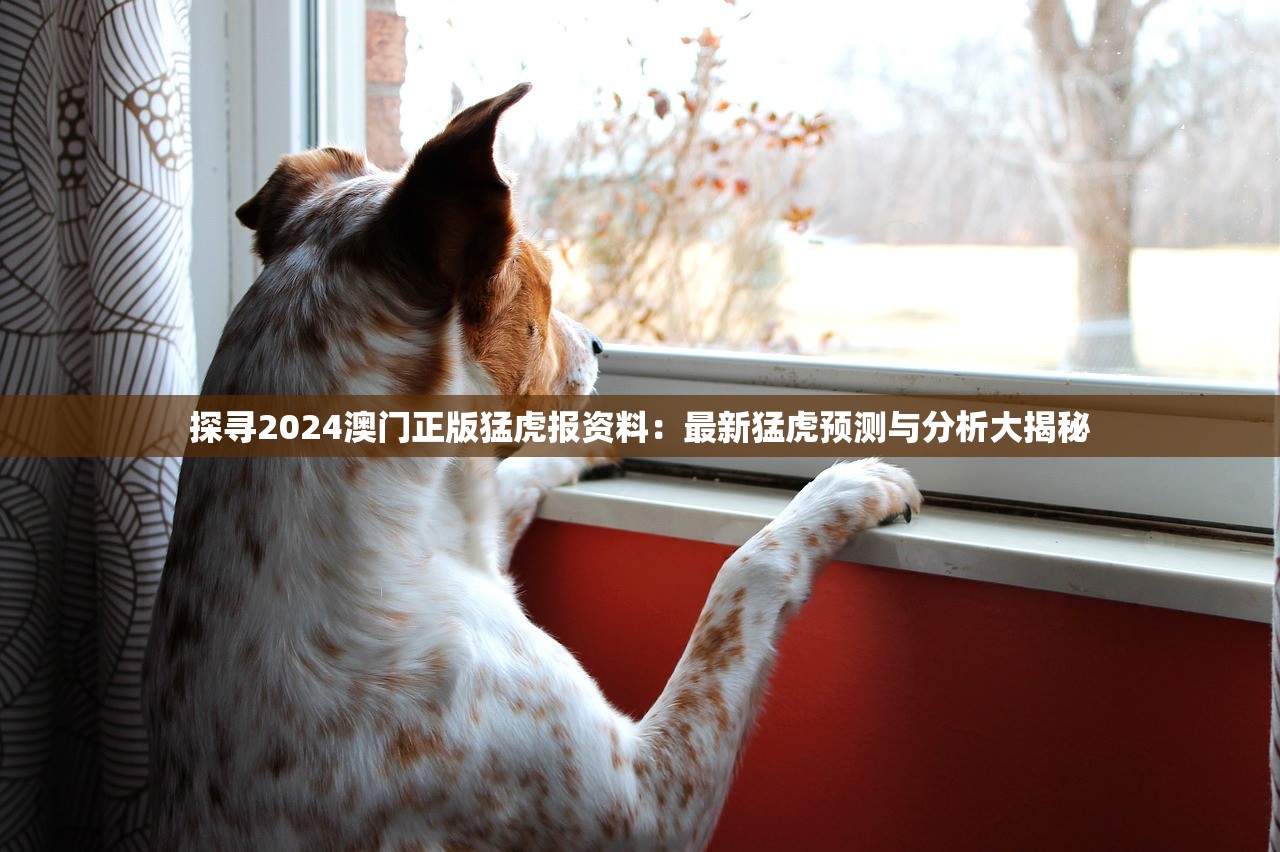 探寻2024澳门正版猛虎报资料：最新猛虎预测与分析大揭秘