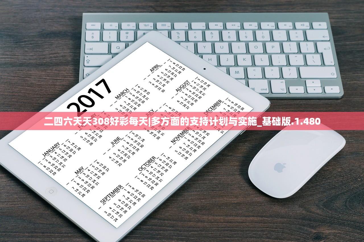 二四六天天308好彩每天|多方面的支持计划与实施_基础版.1.480