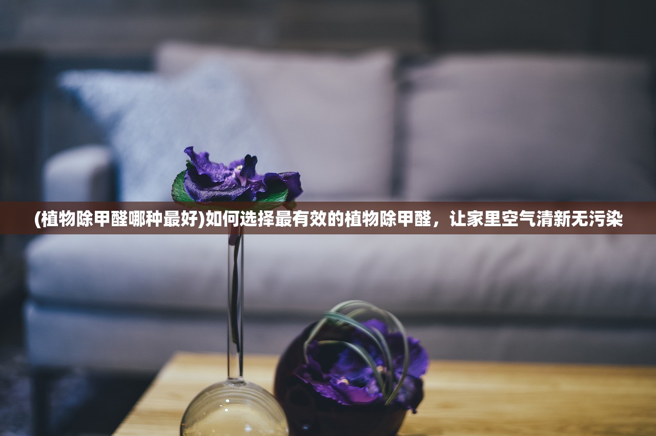 (炫彩迷宫攻略)彩绚迷宫攻略，解锁迷雾重重的奇幻世界，探索无尽的挑战与奥秘！