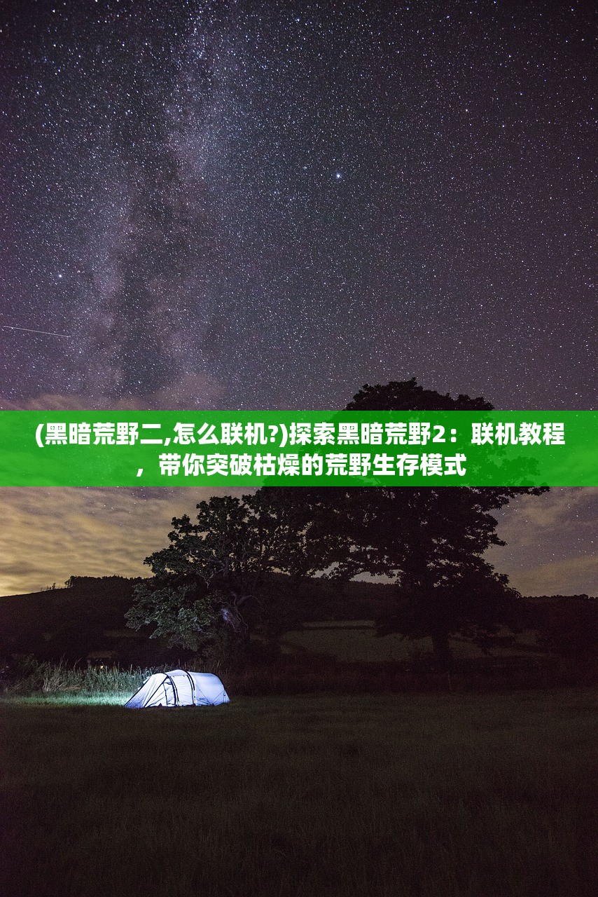 (黑暗荒野二,怎么联机?)探索黑暗荒野2：联机教程，带你突破枯燥的荒野生存模式