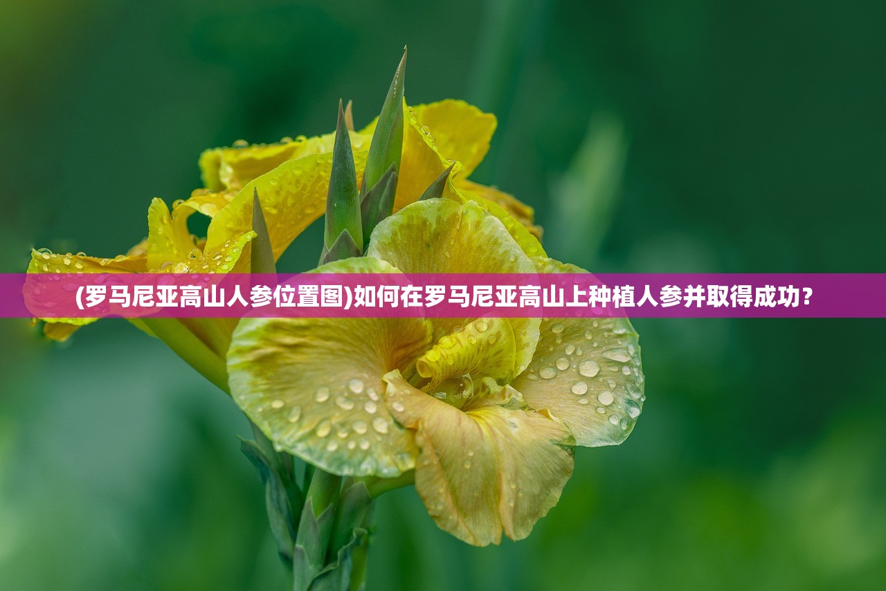 (霸刀传奇攻略)霸刀传奇霸主辅助，揭秘游戏助力神器，助力玩家称霸江湖之路！