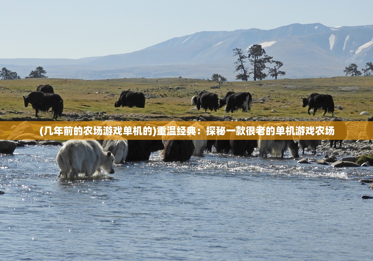 (荣耀全明星新区开启时间)荣耀全明星新区，揭秘游戏新篇章，深度解析与常见问题解答