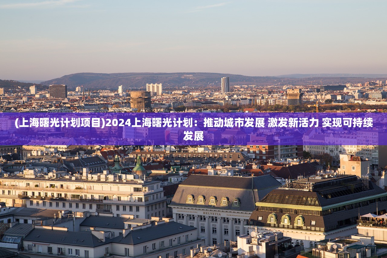 (上海曙光计划项目)2024上海曙光计划：推动城市发展 激发新活力 实现可持续发展