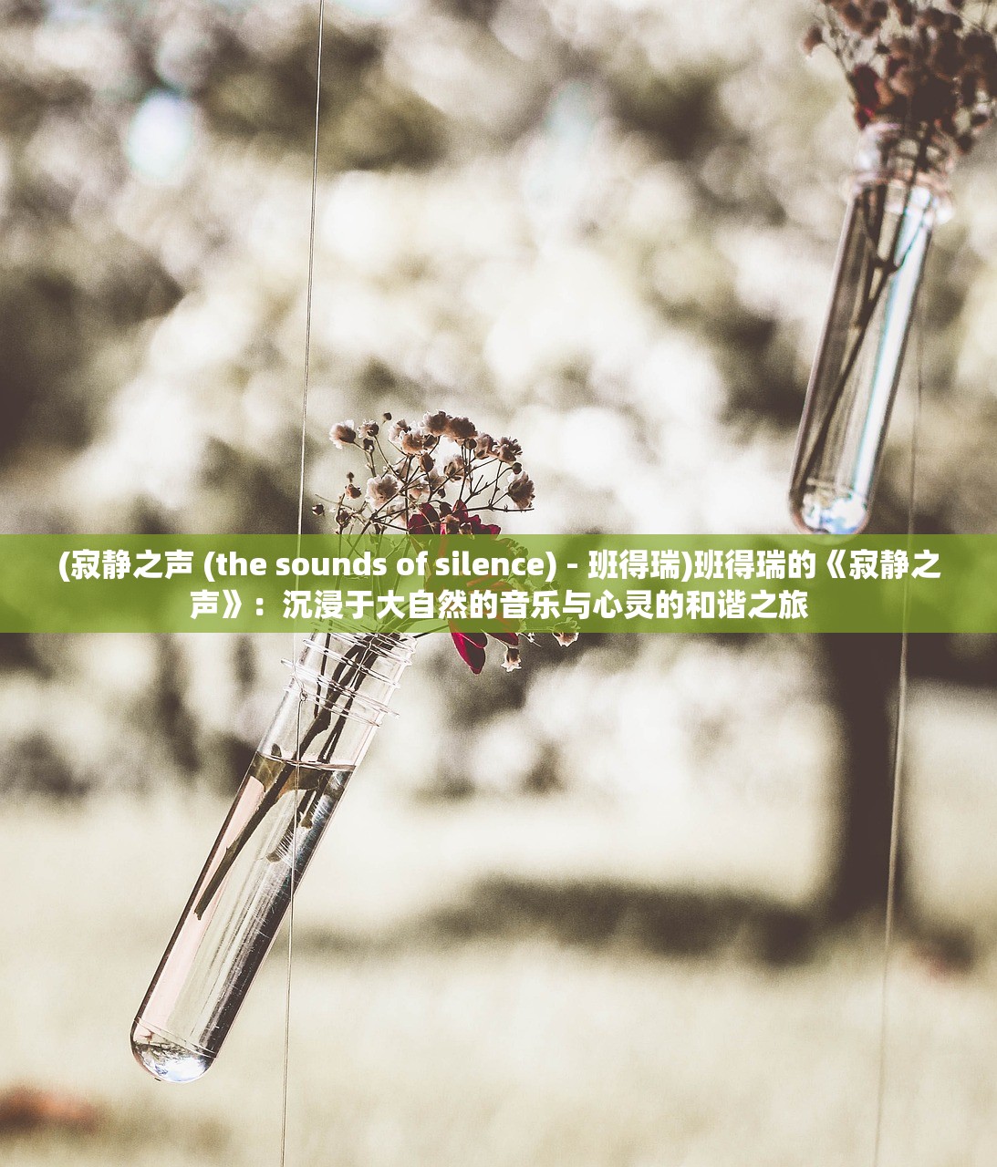 (寂静之声 (the sounds of silence) - 班得瑞)班得瑞的《寂静之声》：沉浸于大自然的音乐与心灵的和谐之旅