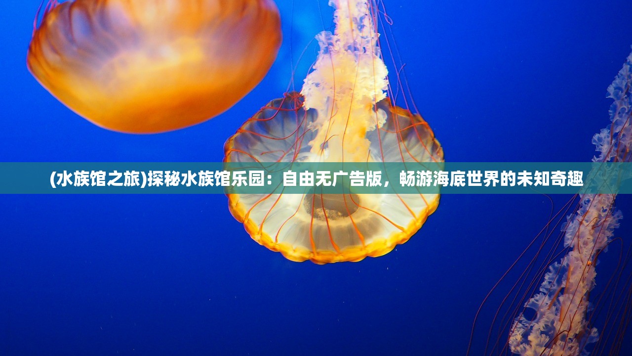 (水族馆之旅)探秘水族馆乐园：自由无广告版，畅游海底世界的未知奇趣