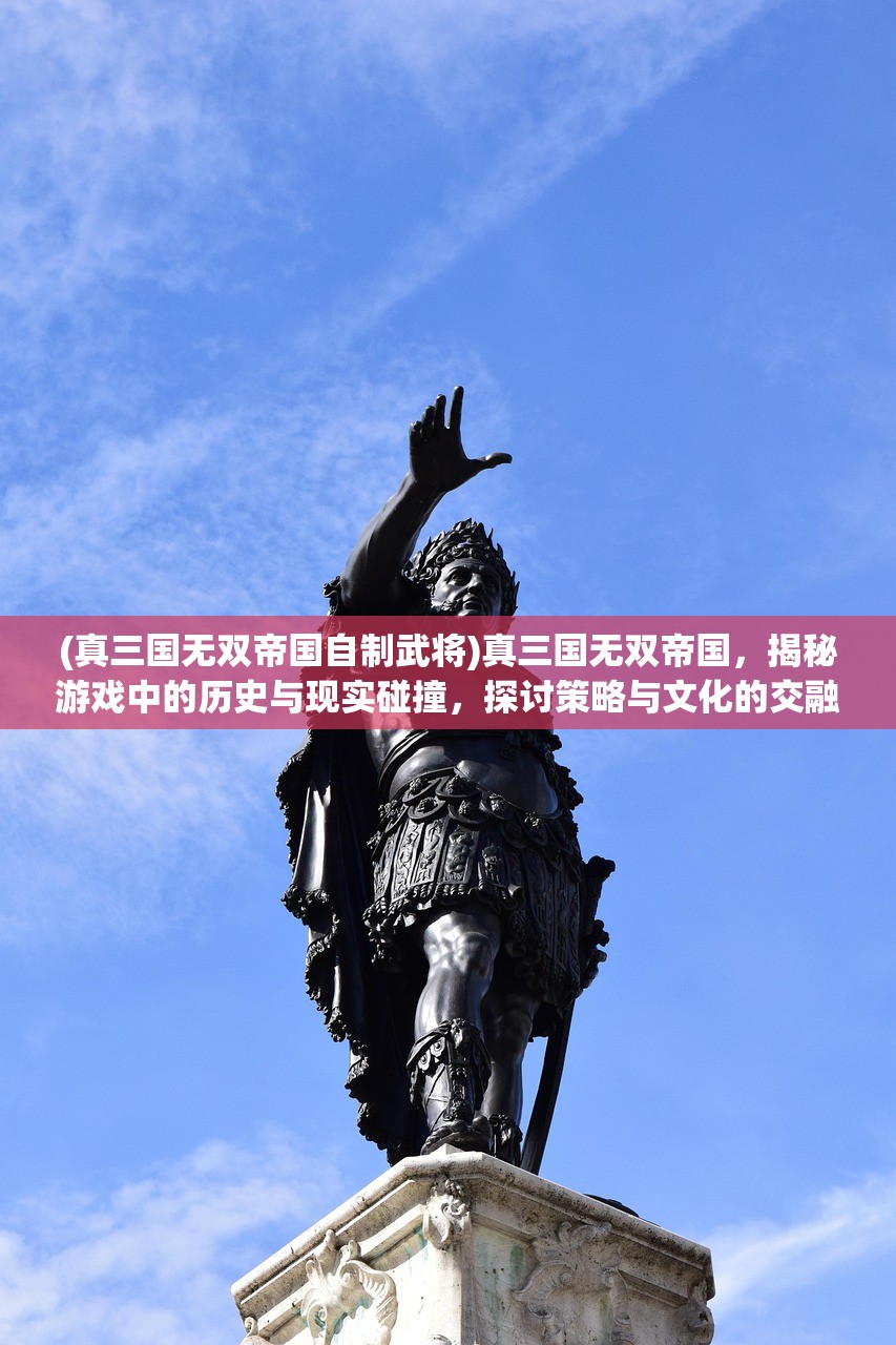 (真三国无双帝国自制武将)真三国无双帝国，揭秘游戏中的历史与现实碰撞，探讨策略与文化的交融