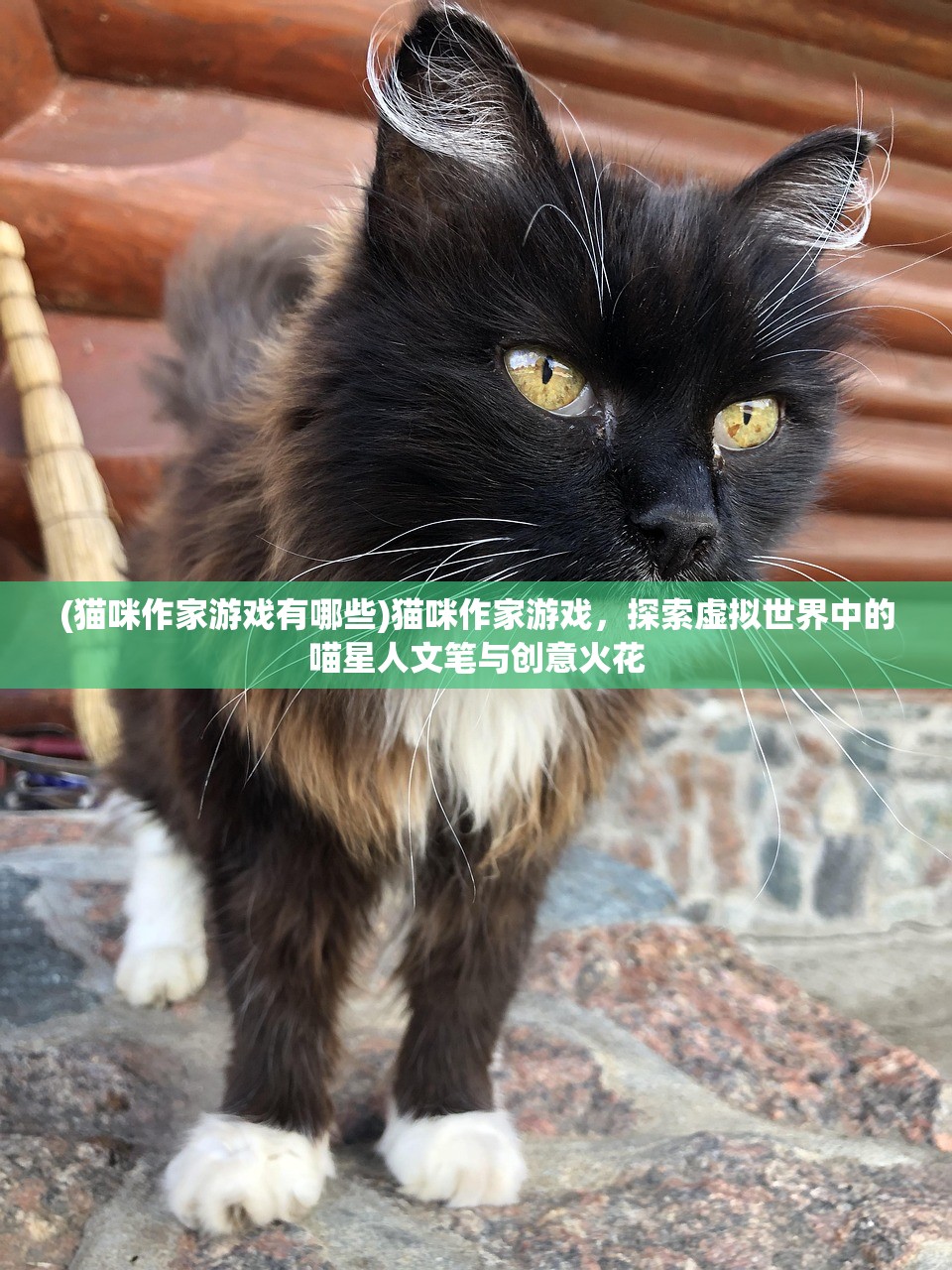 (猫咪作家游戏有哪些)猫咪作家游戏，探索虚拟世界中的喵星人文笔与创意火花