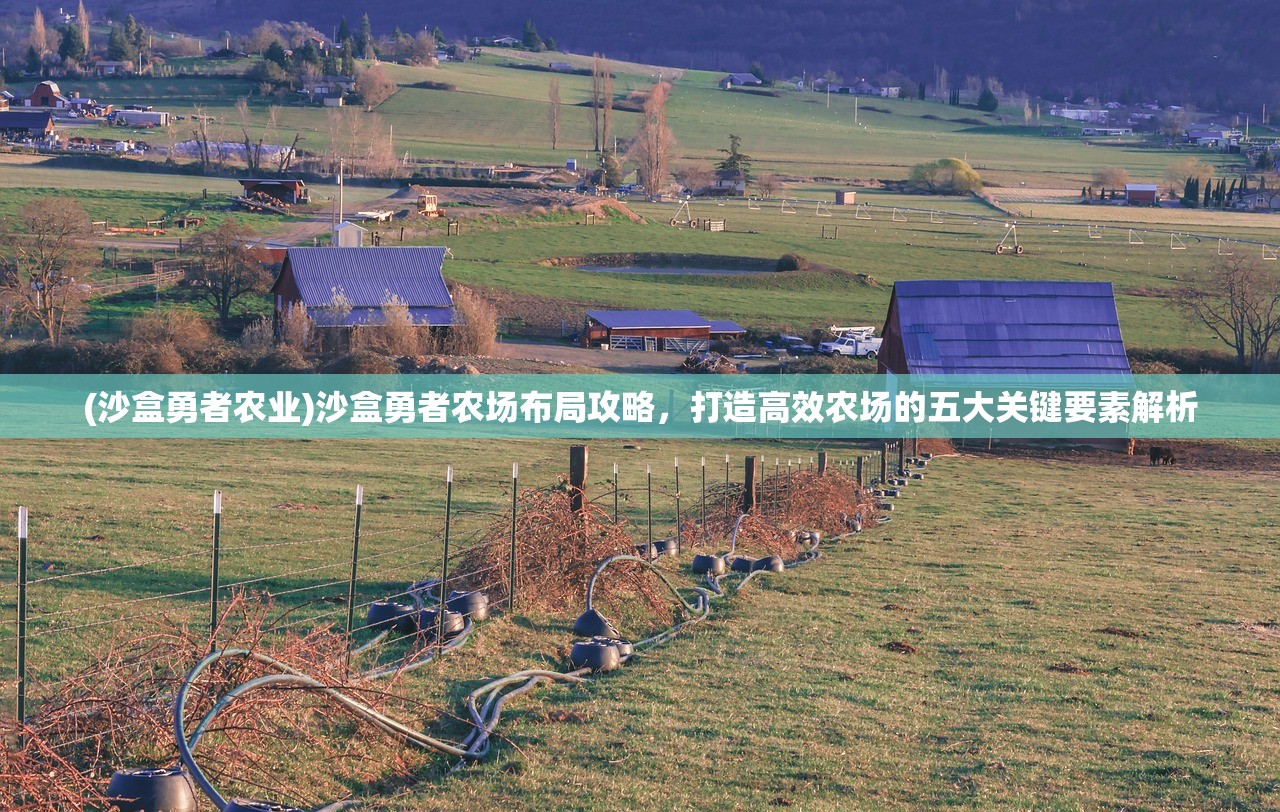 (沙盒勇者农业)沙盒勇者农场布局攻略，打造高效农场的五大关键要素解析