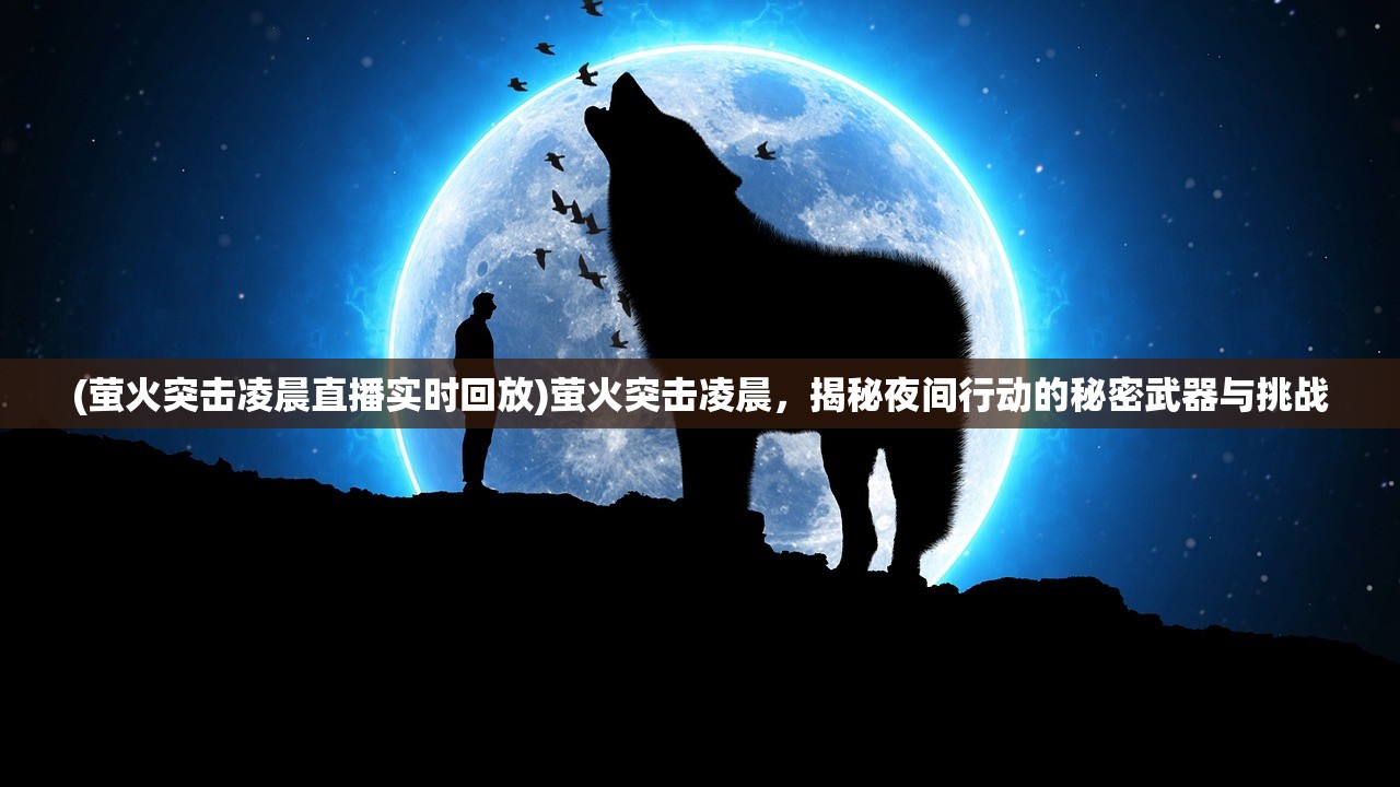 (萤火突击凌晨直播实时回放)萤火突击凌晨，揭秘夜间行动的秘密武器与挑战