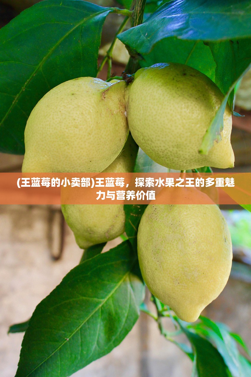 (王蓝莓的小卖部)王蓝莓，探索水果之王的多重魅力与营养价值