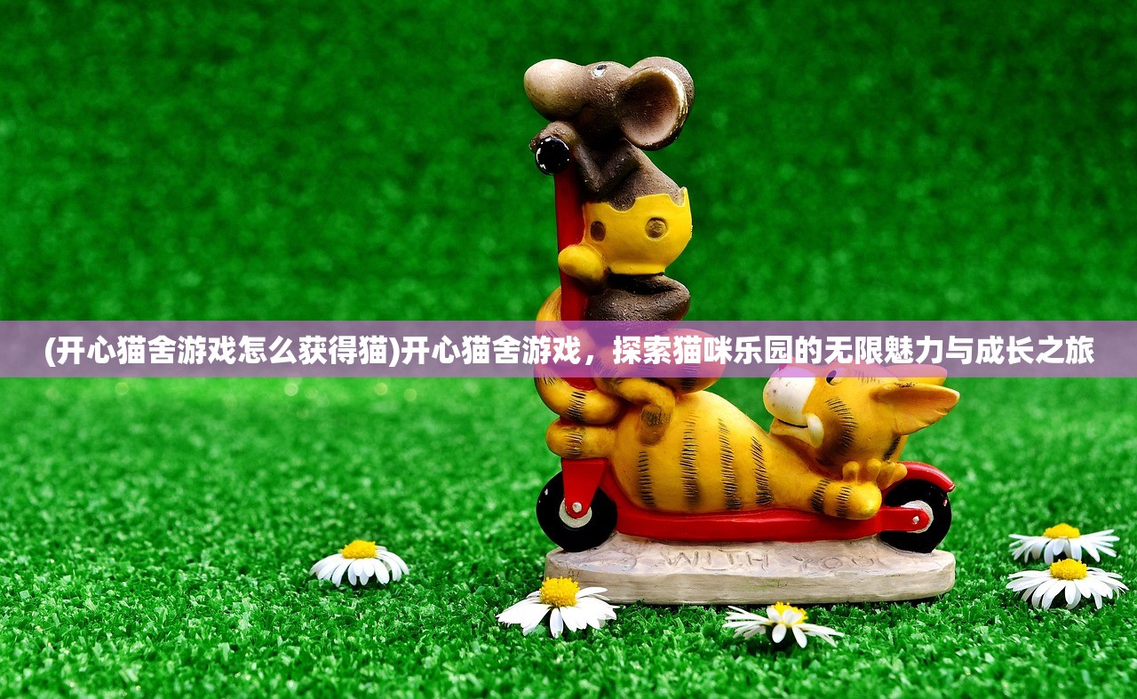 (开心猫舍游戏怎么获得猫)开心猫舍游戏，探索猫咪乐园的无限魅力与成长之旅