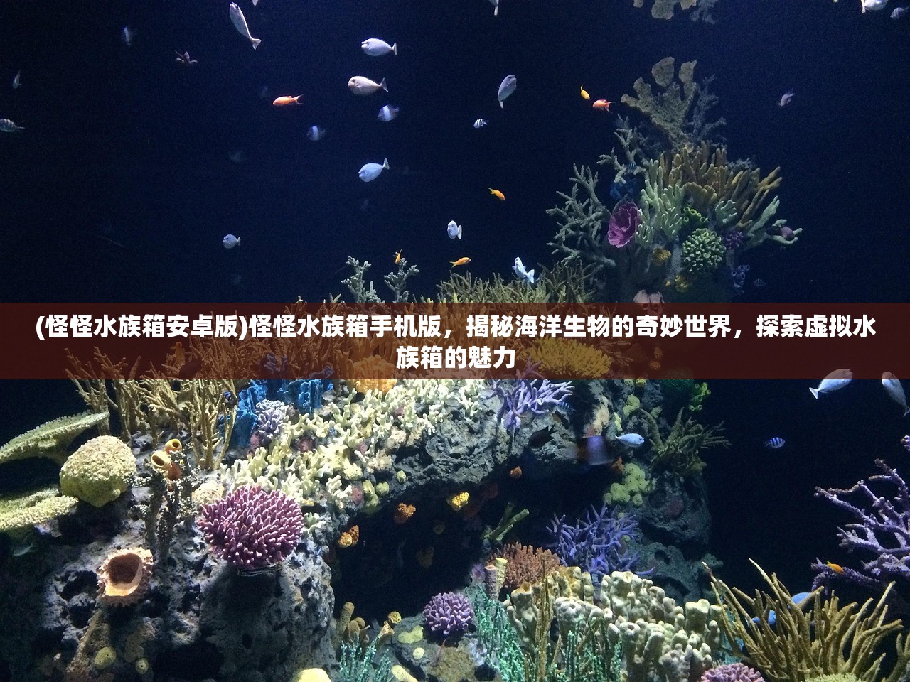 (怪怪水族箱安卓版)怪怪水族箱手机版，揭秘海洋生物的奇妙世界，探索虚拟水族箱的魅力