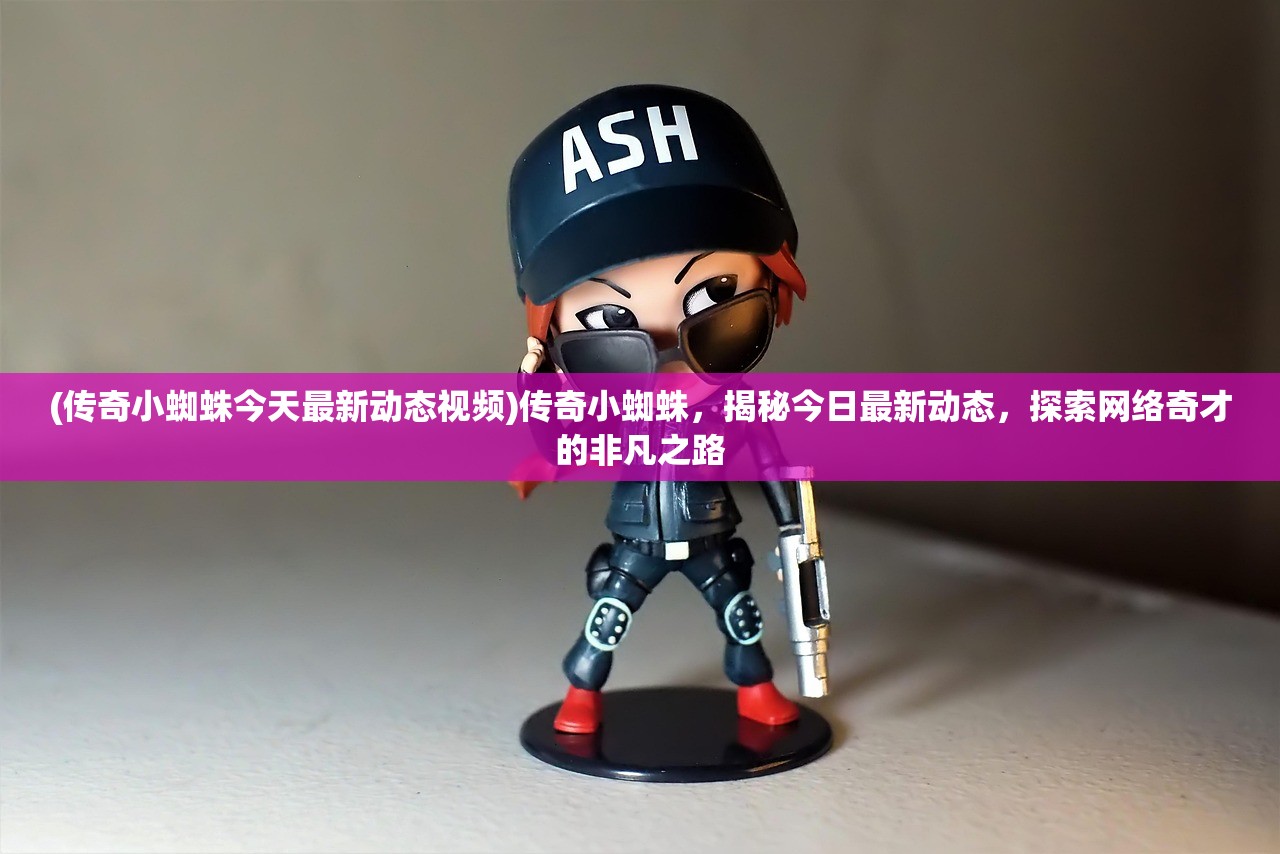 (传奇小蜘蛛今天最新动态视频)传奇小蜘蛛，揭秘今日最新动态，探索网络奇才的非凡之路