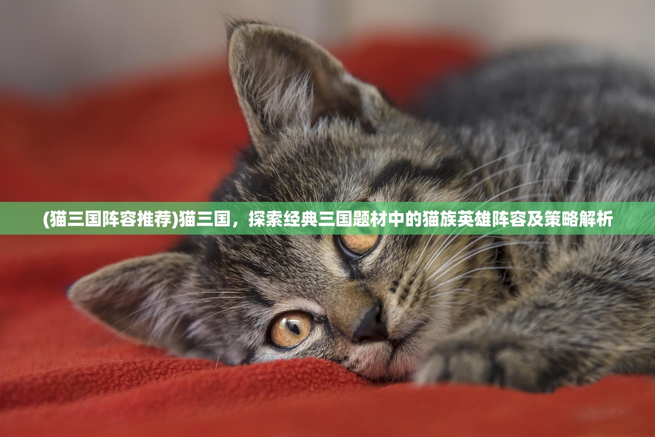 (战神狂飙叶无缺全文免费阅读小说)战神狂飙，叶无缺的传奇征程——深度解析全文免费阅读背后的故事与启示