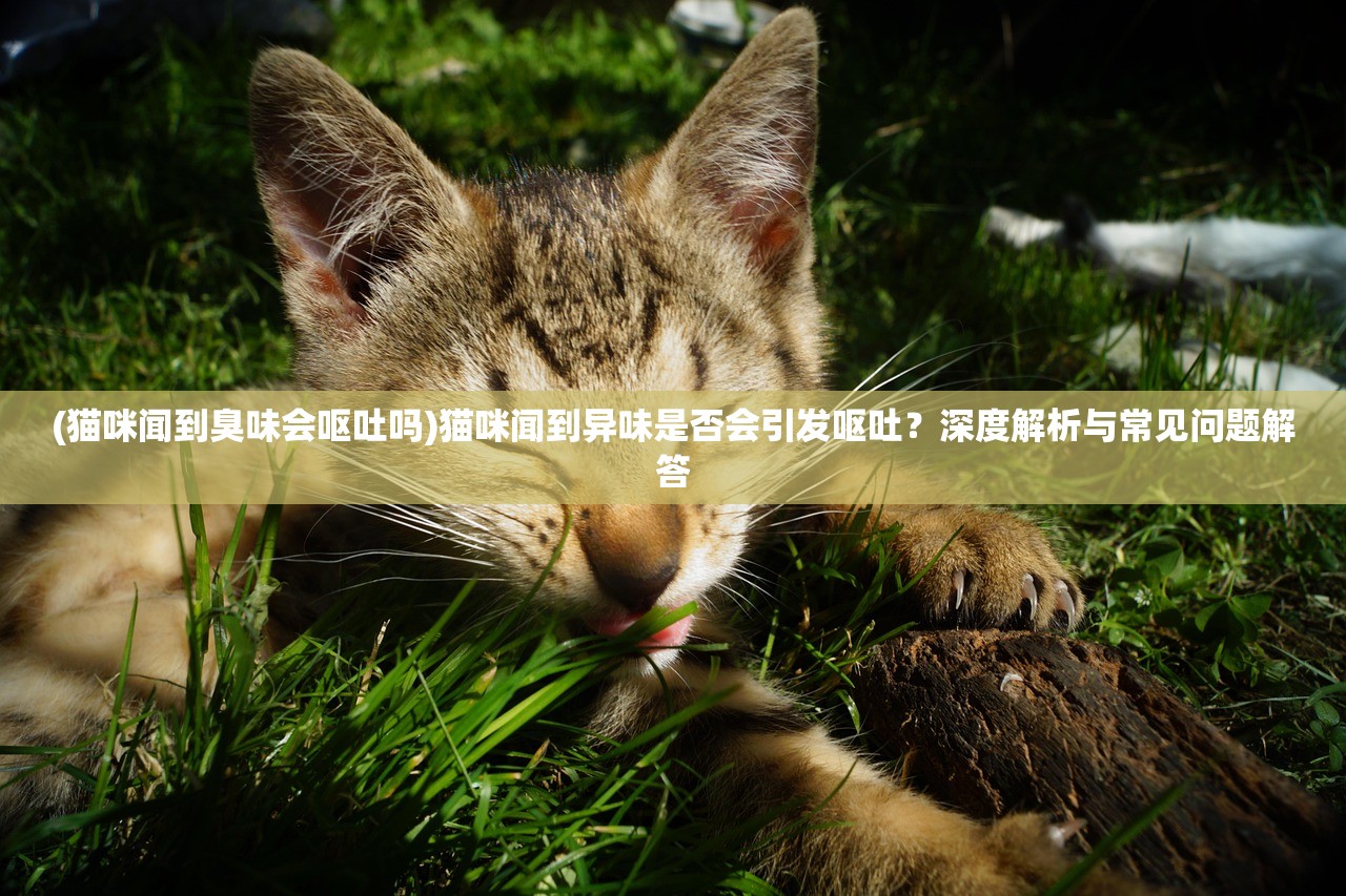 (猫咪闻到臭味会呕吐吗)猫咪闻到异味是否会引发呕吐？深度解析与常见问题解答