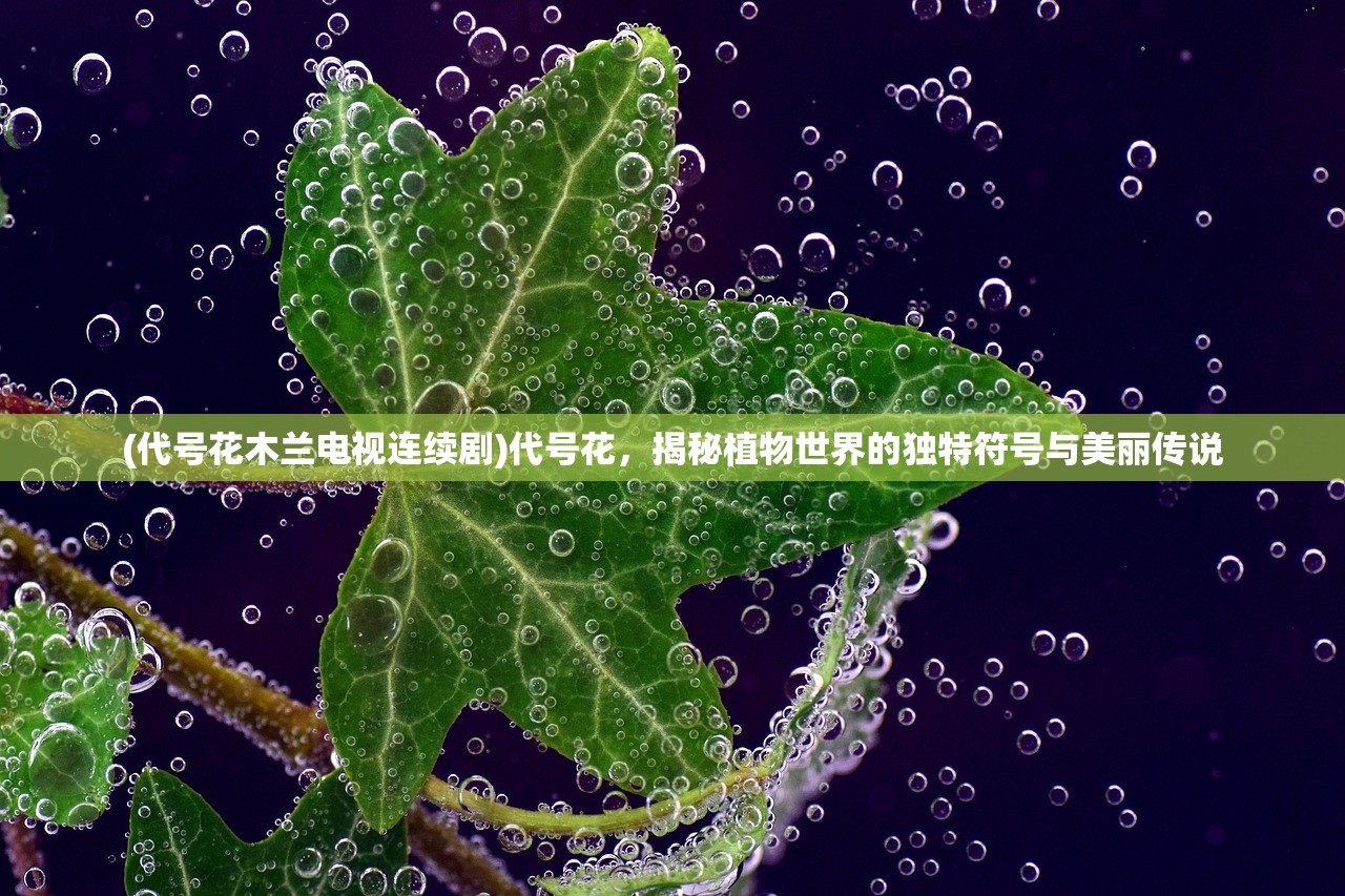 (代号花木兰电视连续剧)代号花，揭秘植物世界的独特符号与美丽传说