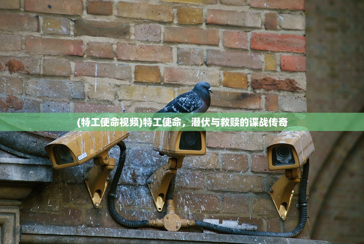 (特工使命视频)特工使命，潜伏与救赎的谍战传奇