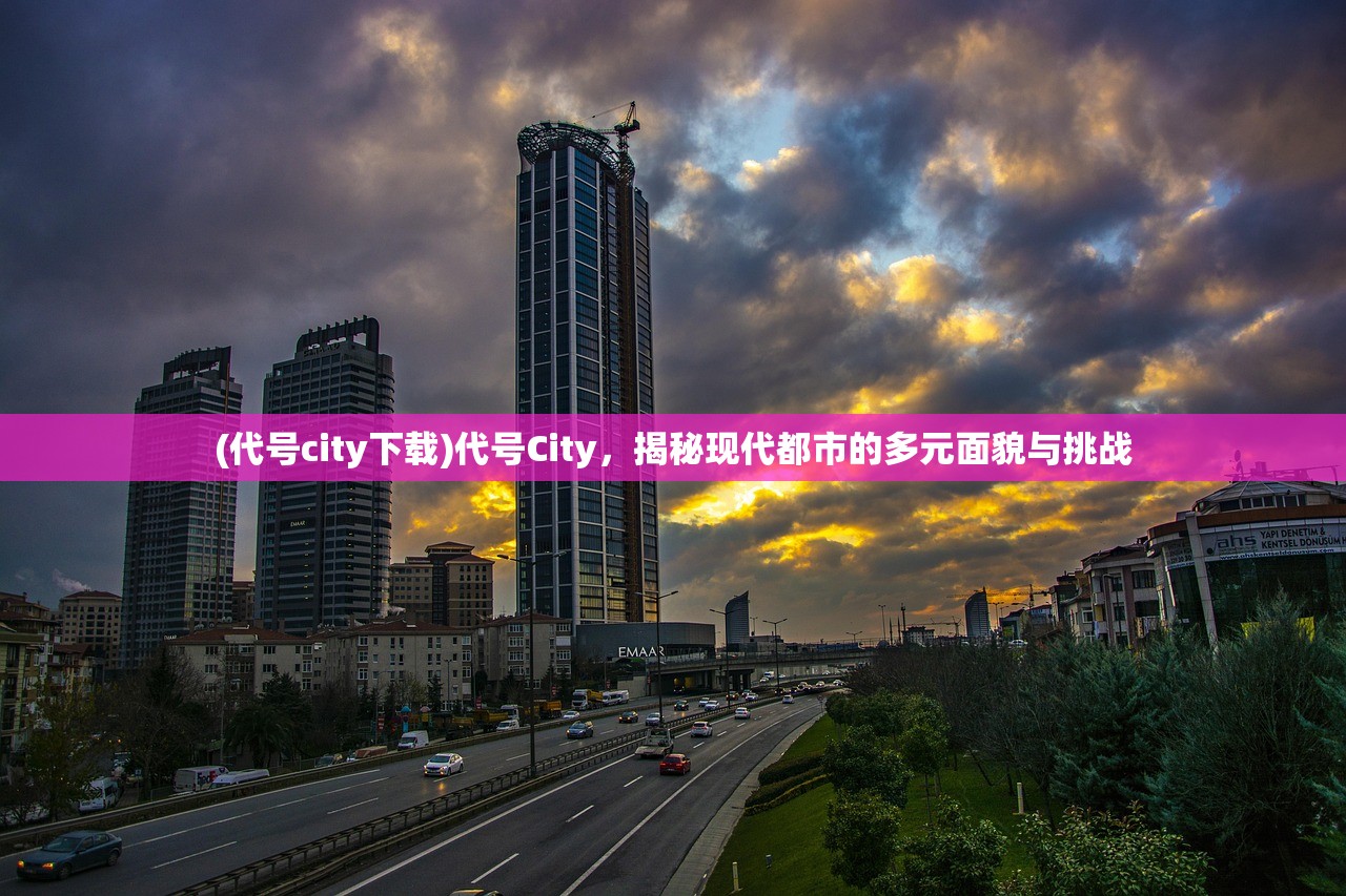 (代号city下载)代号City，揭秘现代都市的多元面貌与挑战