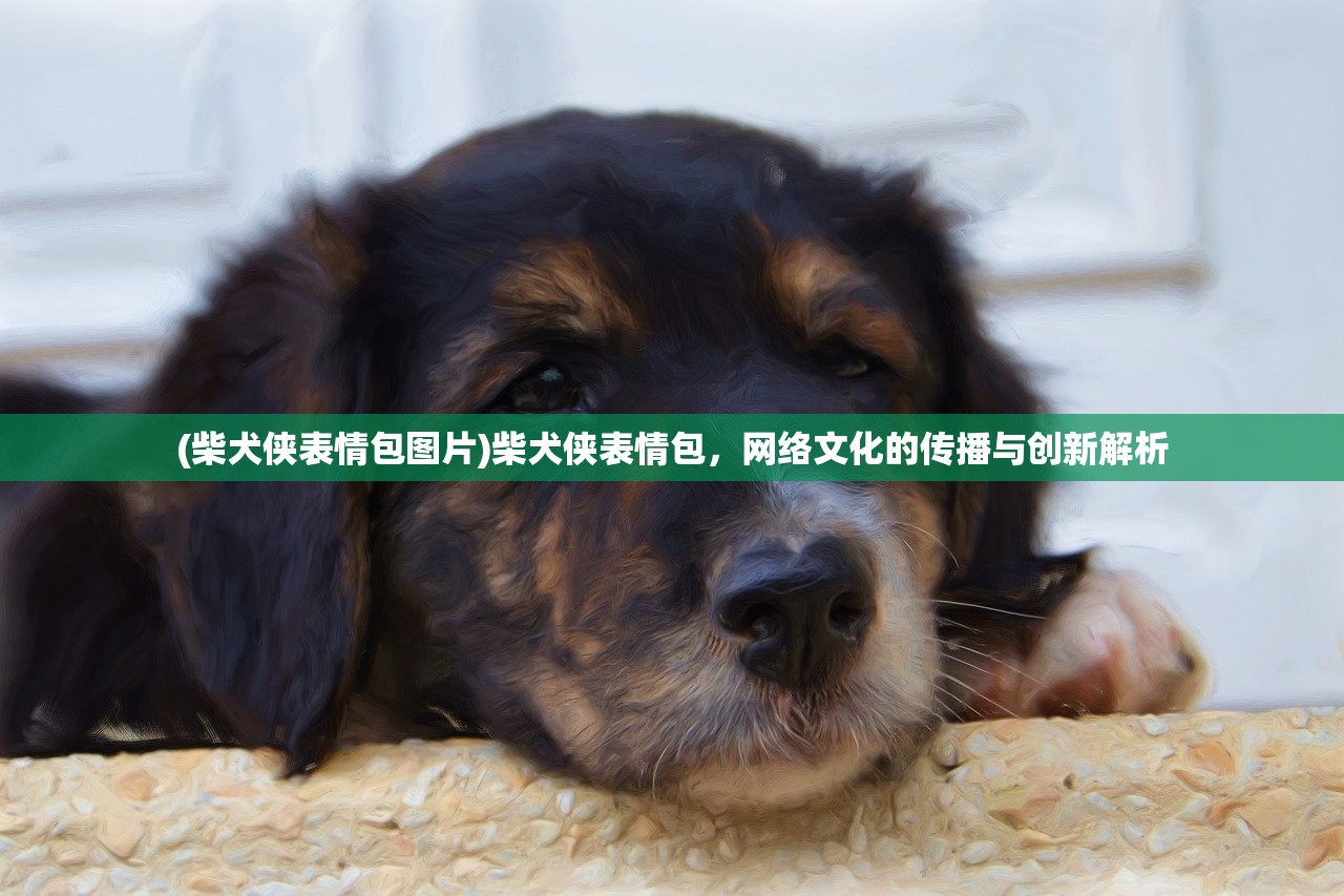 (柴犬侠表情包图片)柴犬侠表情包，网络文化的传播与创新解析