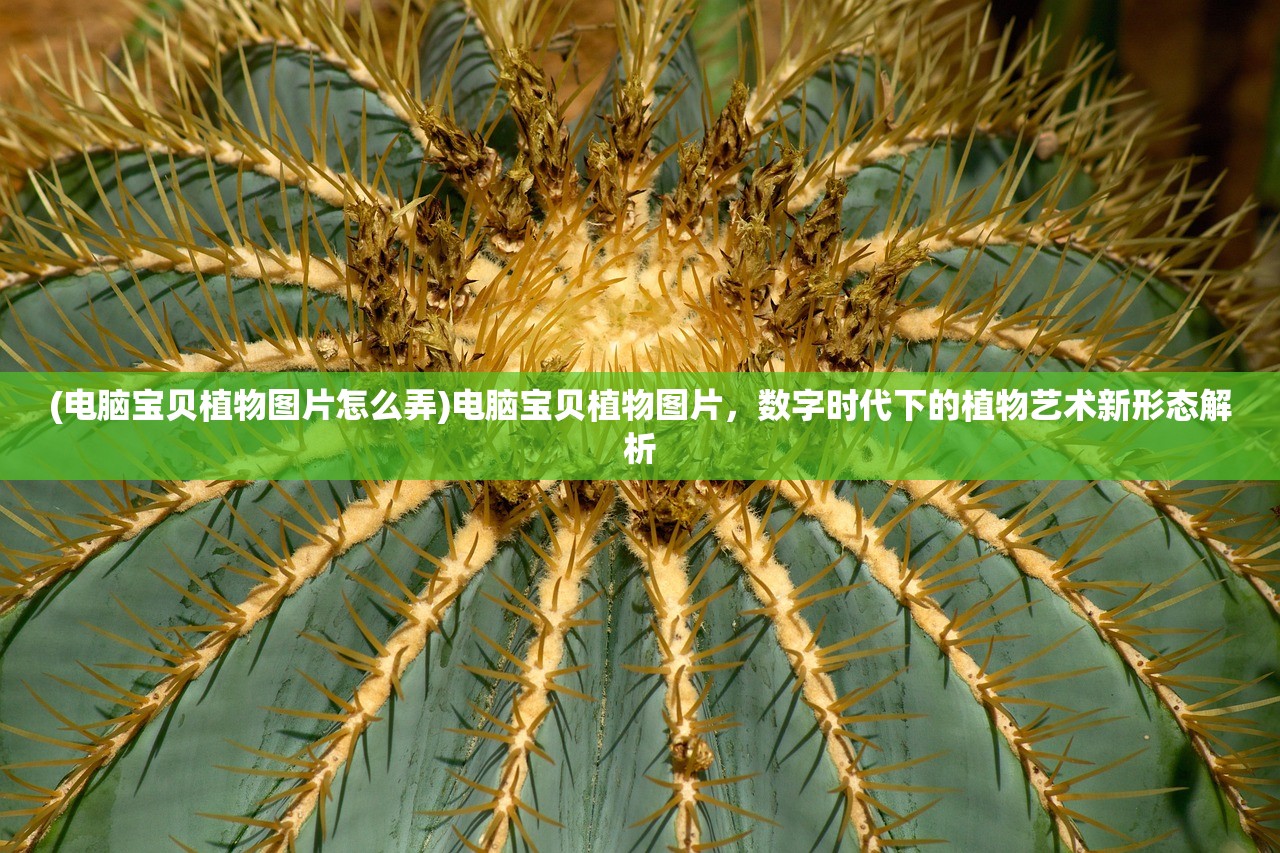 (电脑宝贝植物图片怎么弄)电脑宝贝植物图片，数字时代下的植物艺术新形态解析