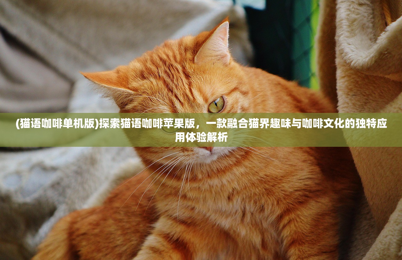 (猫语咖啡单机版)探索猫语咖啡苹果版，一款融合猫界趣味与咖啡文化的独特应用体验解析