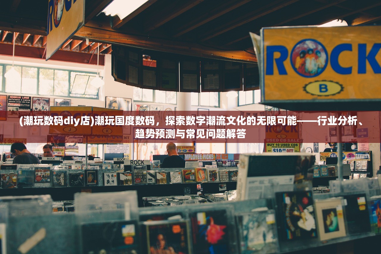 (潮玩数码diy店)潮玩国度数码，探索数字潮流文化的无限可能——行业分析、趋势预测与常见问题解答